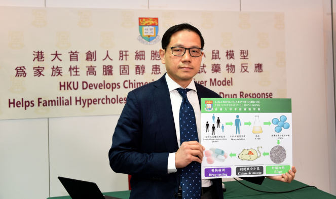 HKU is the first to develop the use of chimeric stem cell mouse model to test the pharmacological effects of familial hypercholesterolemia drugs in vitro and in vivo.